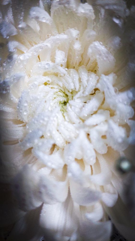 Photograph by Marharita