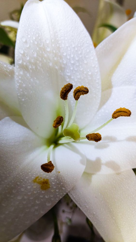 Photograph by Marharita