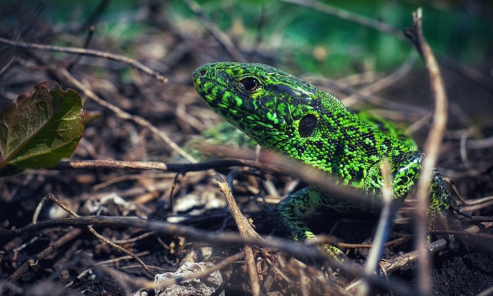 Photograph by Артемий