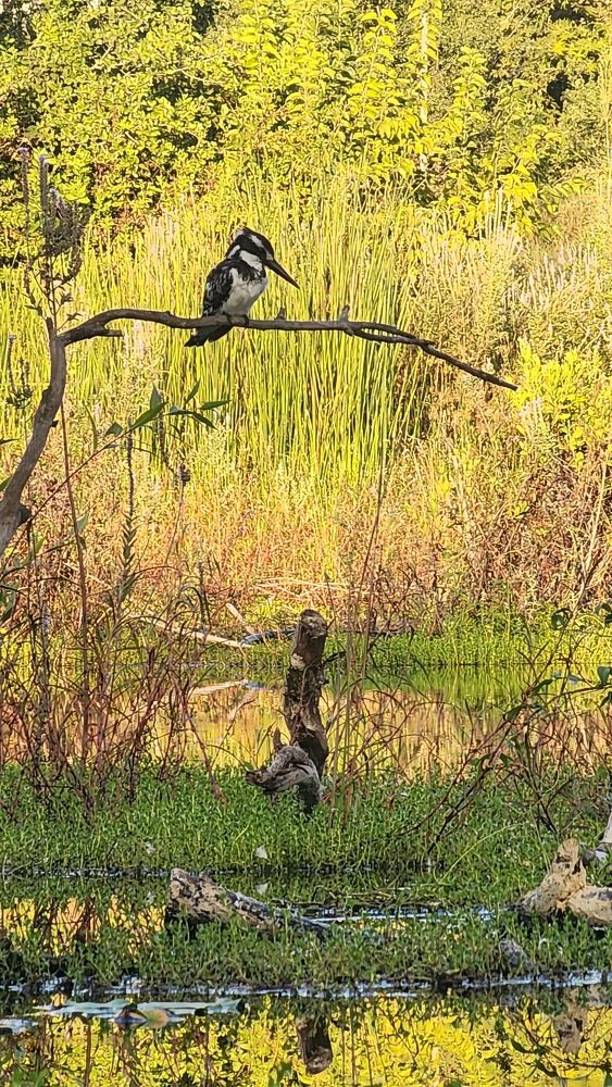 Photograph by esti lahat