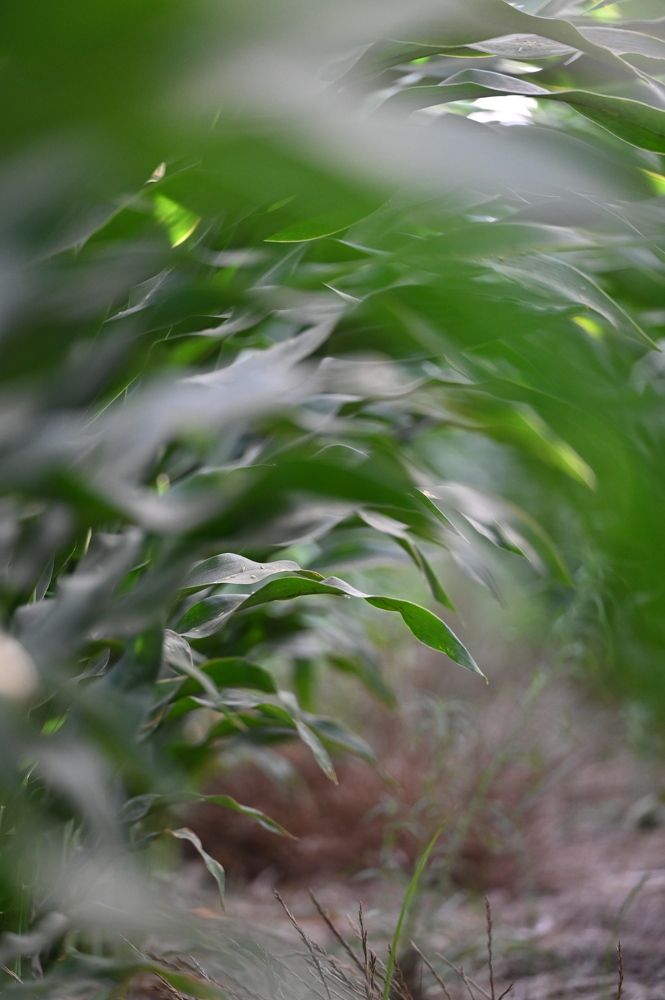 Photograph by esti lahat