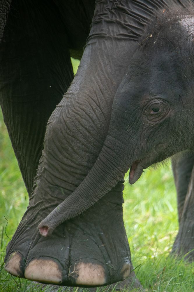 Photograph by Namina Wijetunga