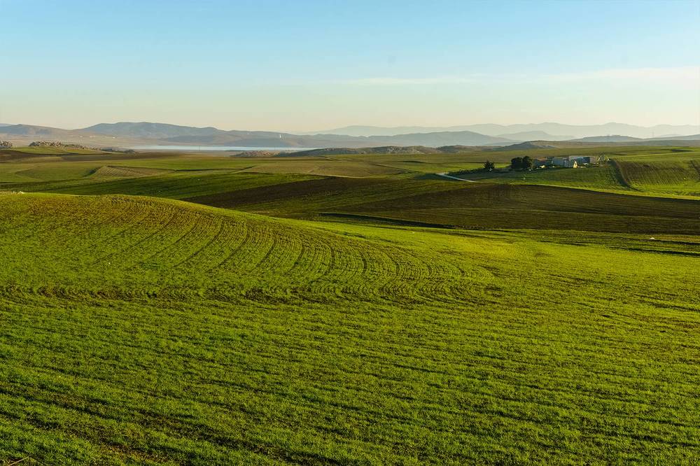 Photograph by Nassim Mohamed