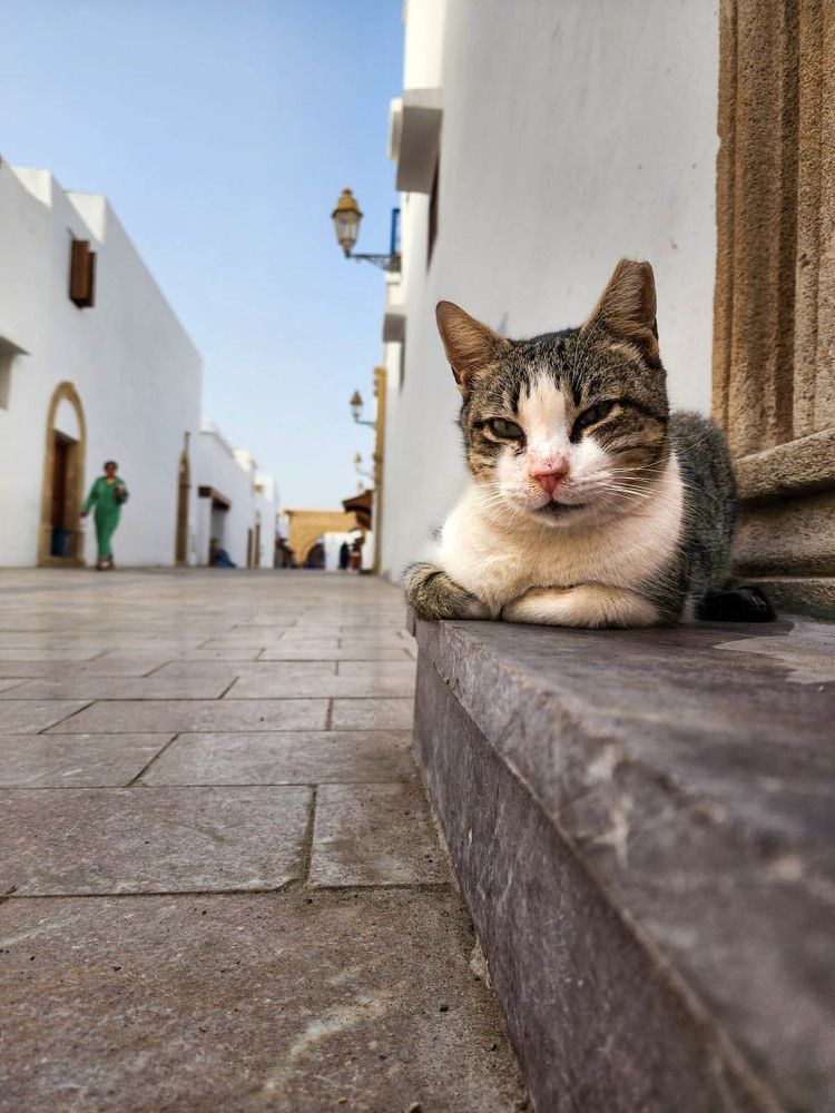 Photograph by esti lahat