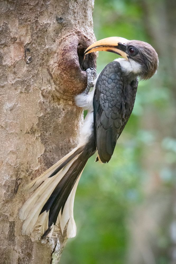 Photograph by Namina Wijetunga