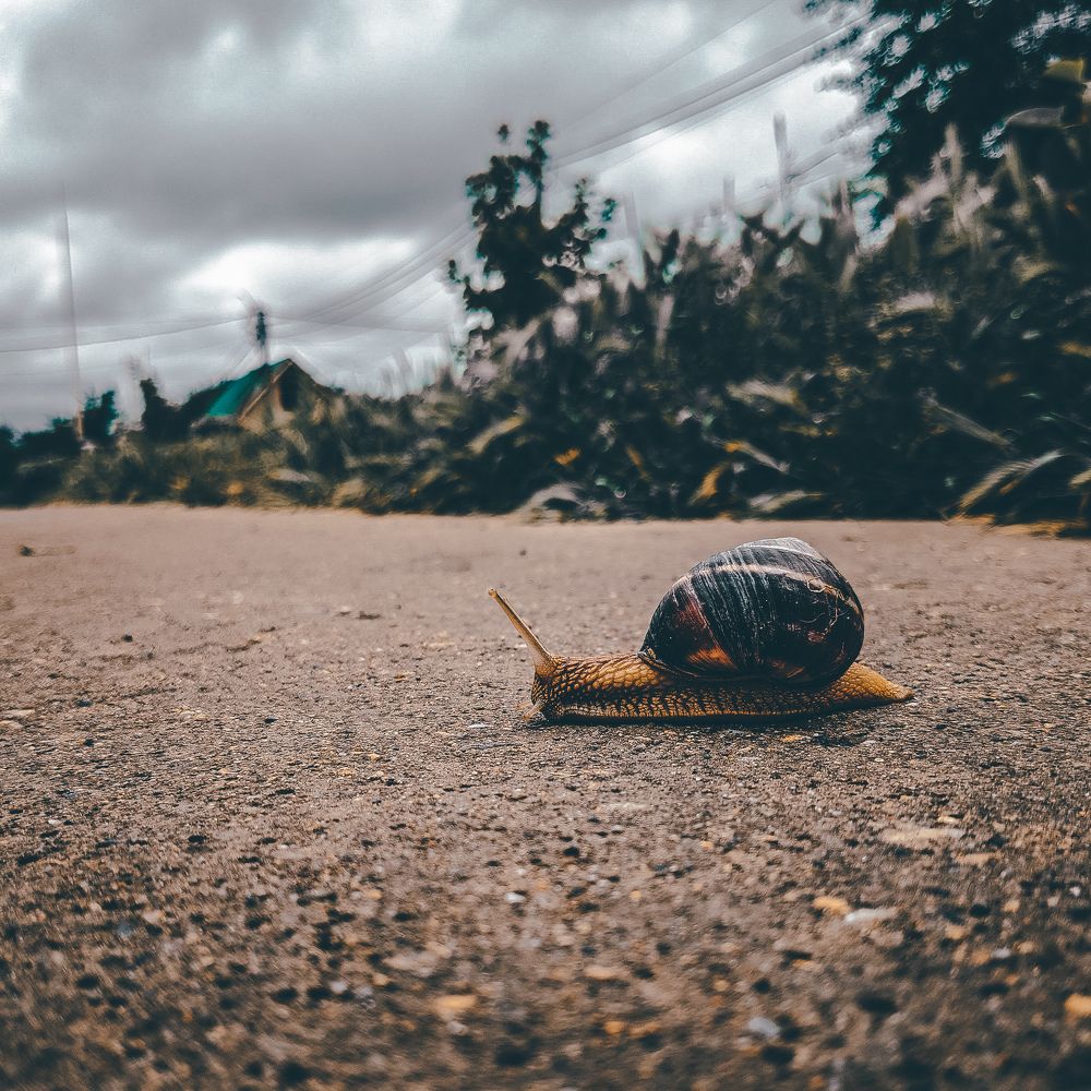 Photograph by Александр Шевченко