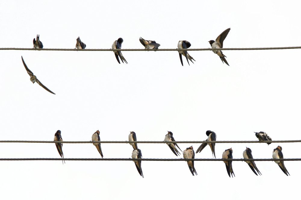 Photograph by Евгений Киселев