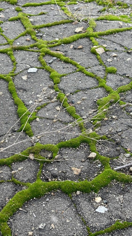 Photograph by Елена Гущина