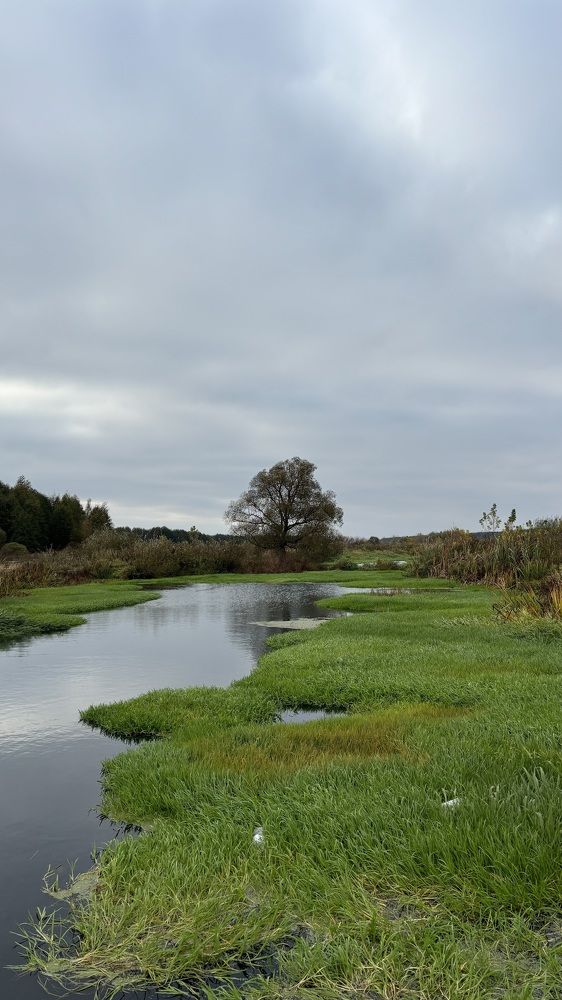 Photograph by Елена Гущина