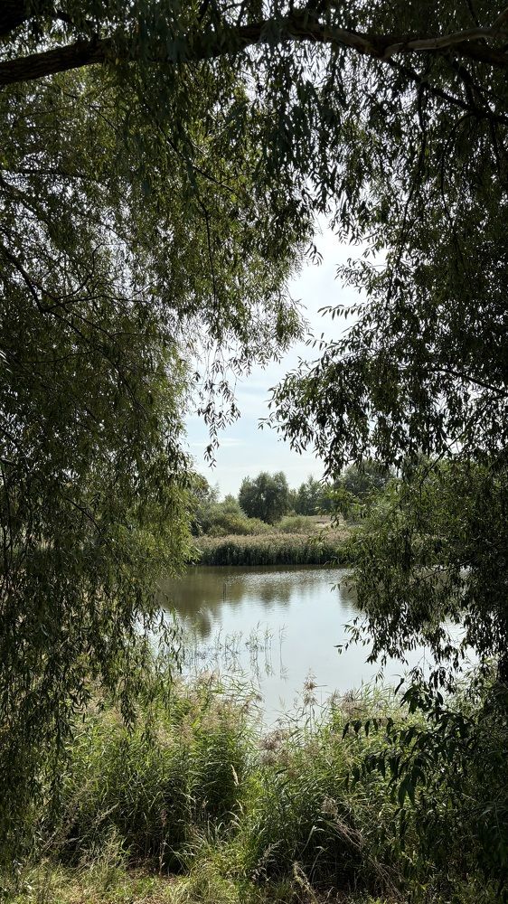 Photograph by Елена Гущина