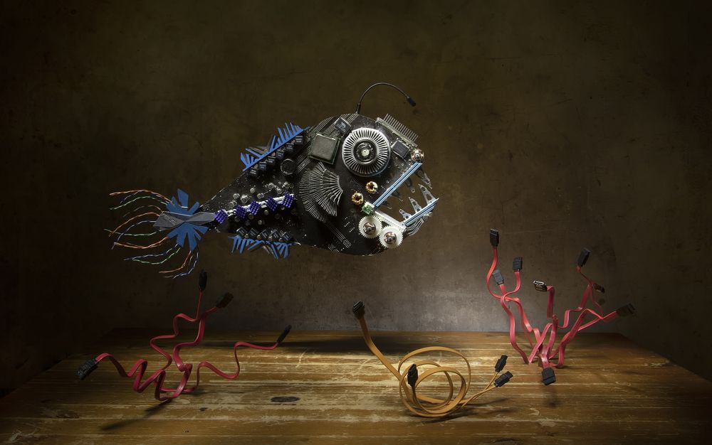 Photograph by Татьяна Феденкова