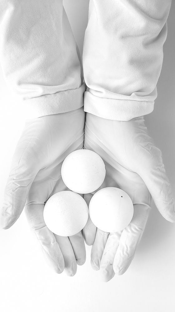 Фотография автора Елена Маслова