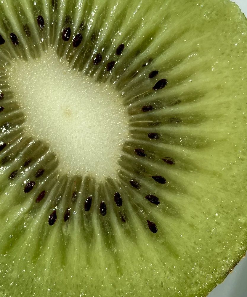 Photograph by Татьяна Раковская