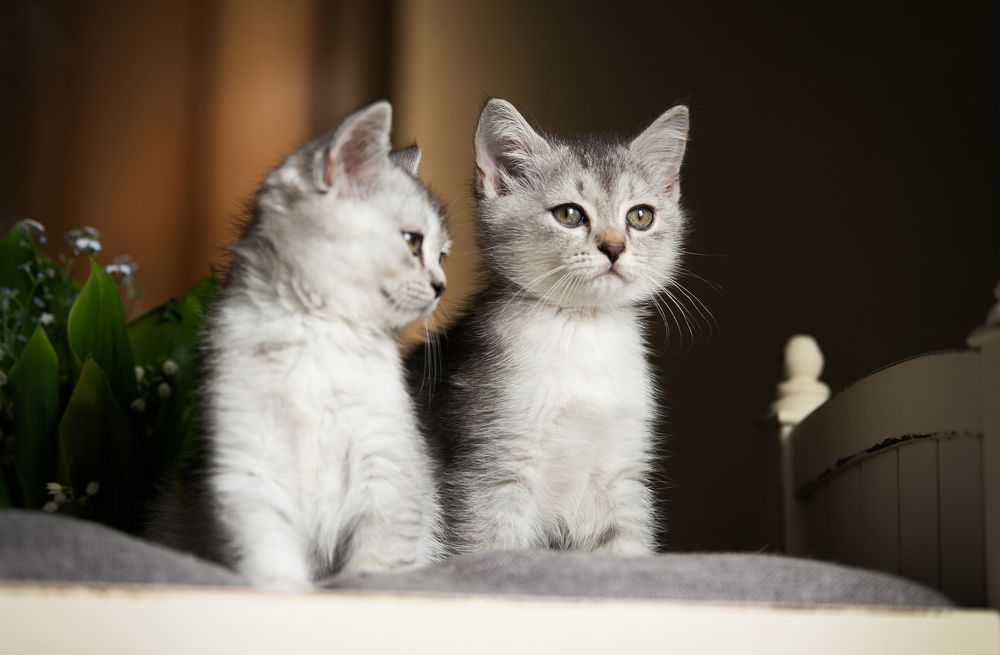 Photograph by Татьяна Родикова