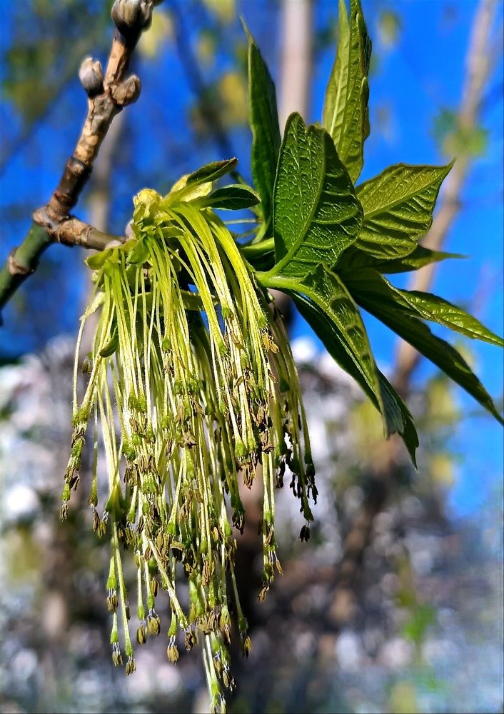 Photograph by Сидорова Ирина