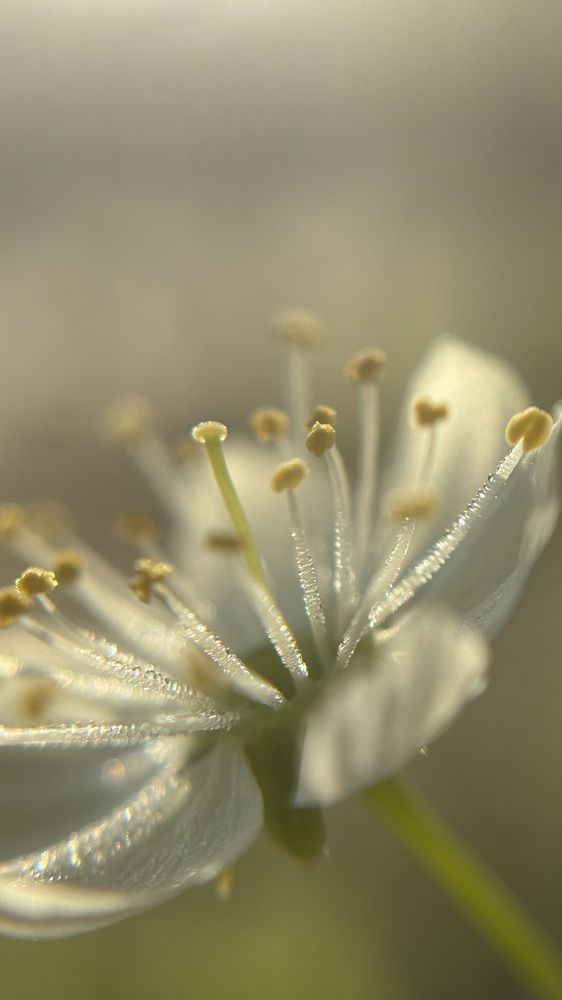 Photograph by Елена Гущина