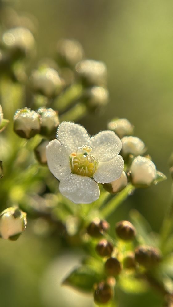 Photograph by Елена Гущина