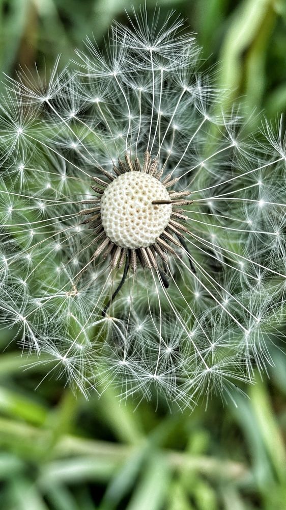 Photograph by Елена Гущина