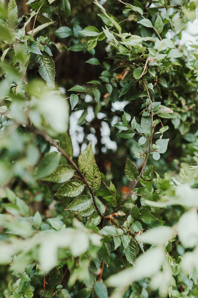 Photograph by Алена Полищук