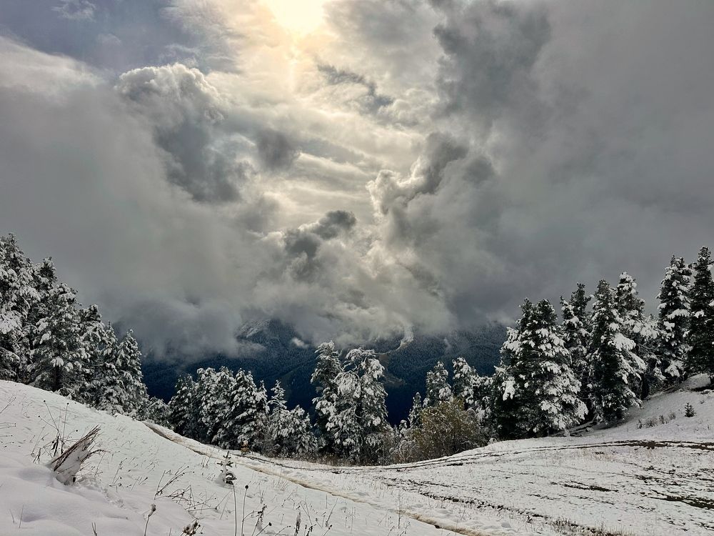 Photograph by Алексей Поляков