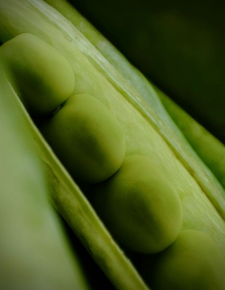 Photograph by Дина Желанова