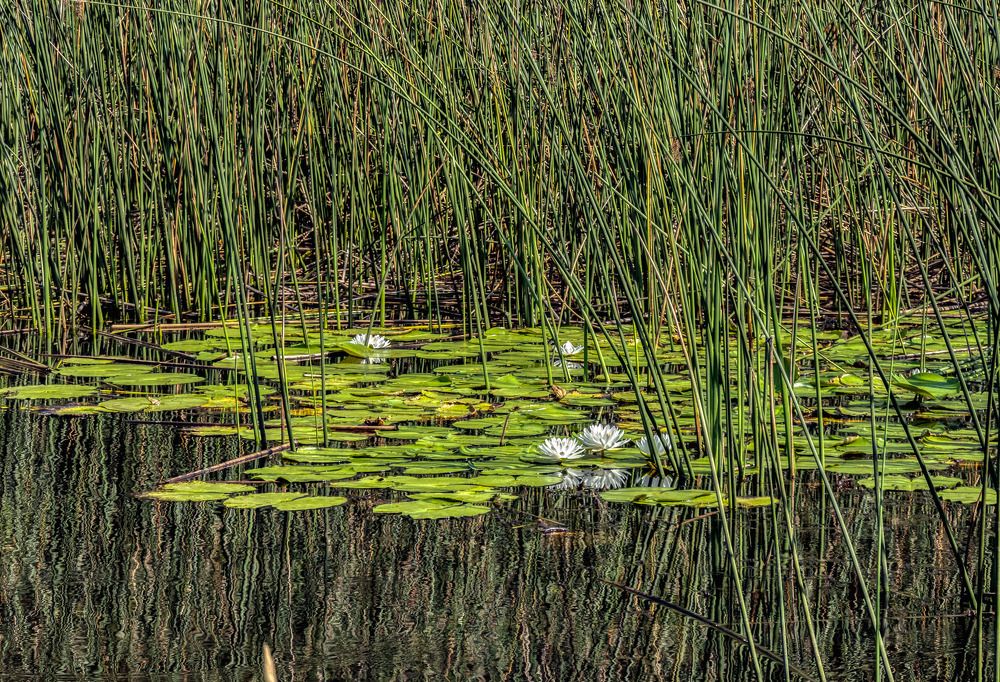 Photograph by Анатолий Костерев