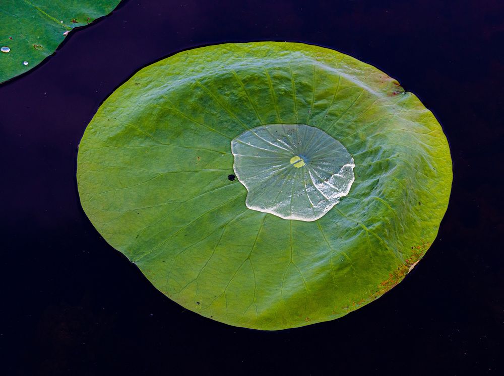 Photograph by Анатолий Костерев