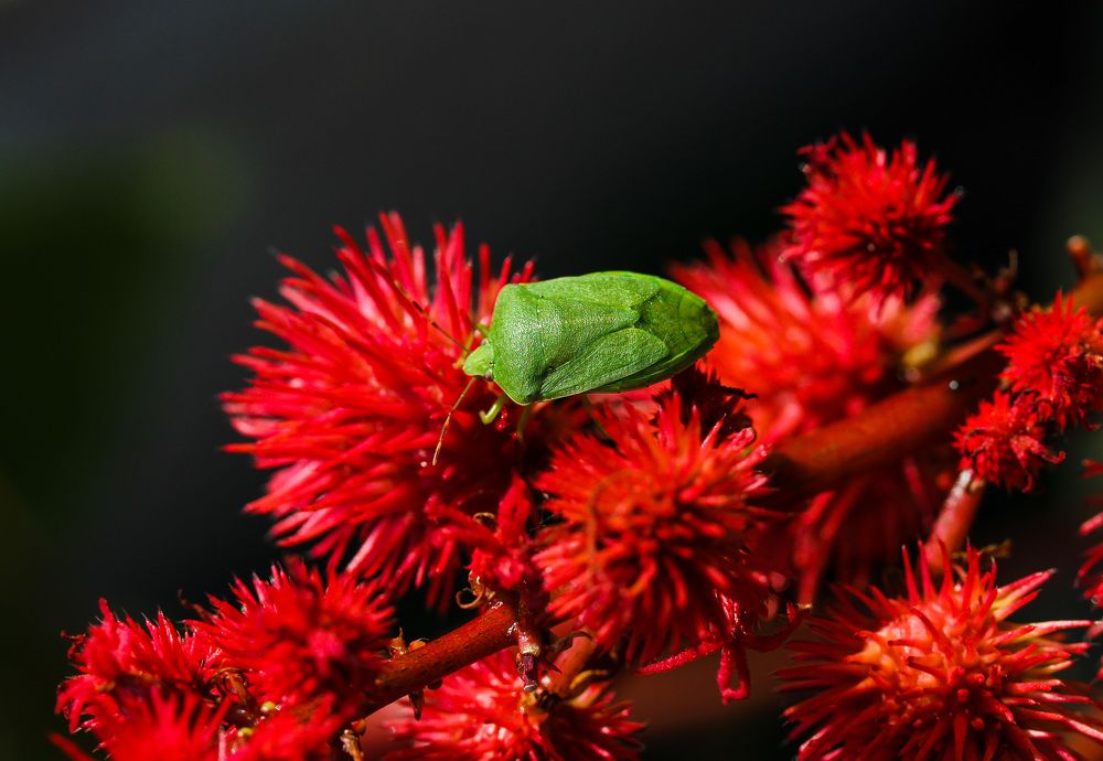 Photograph by Анатолий Костерев