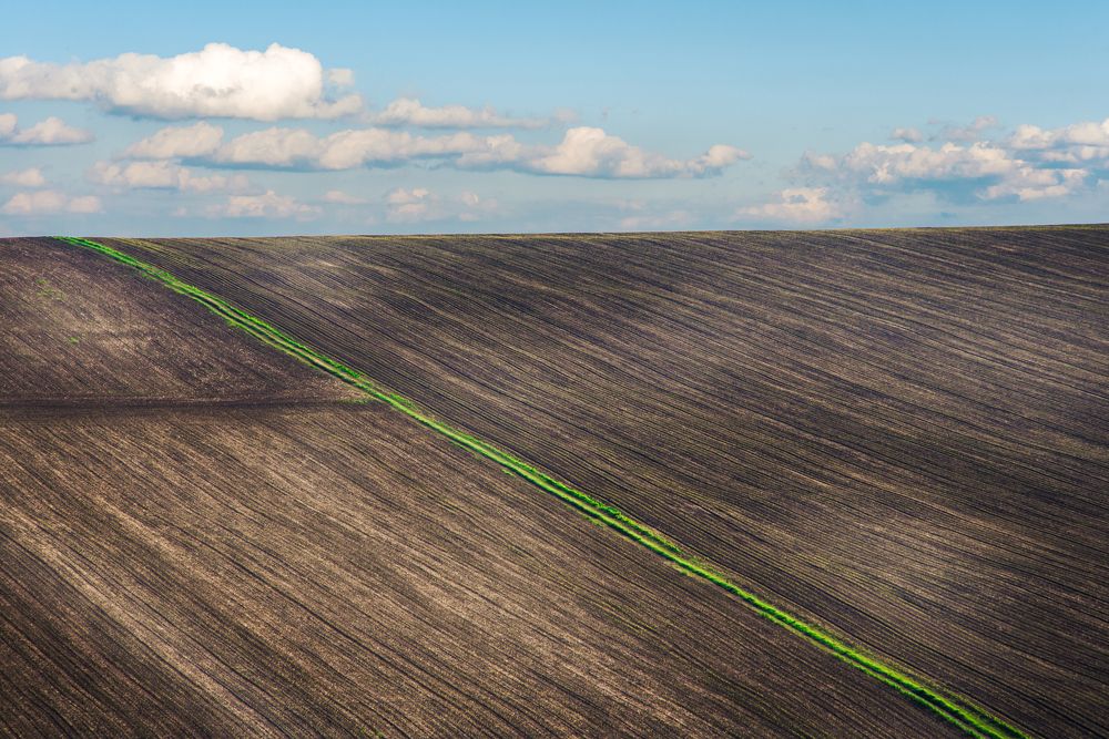 Фотография автора Lyuboslav Bochev