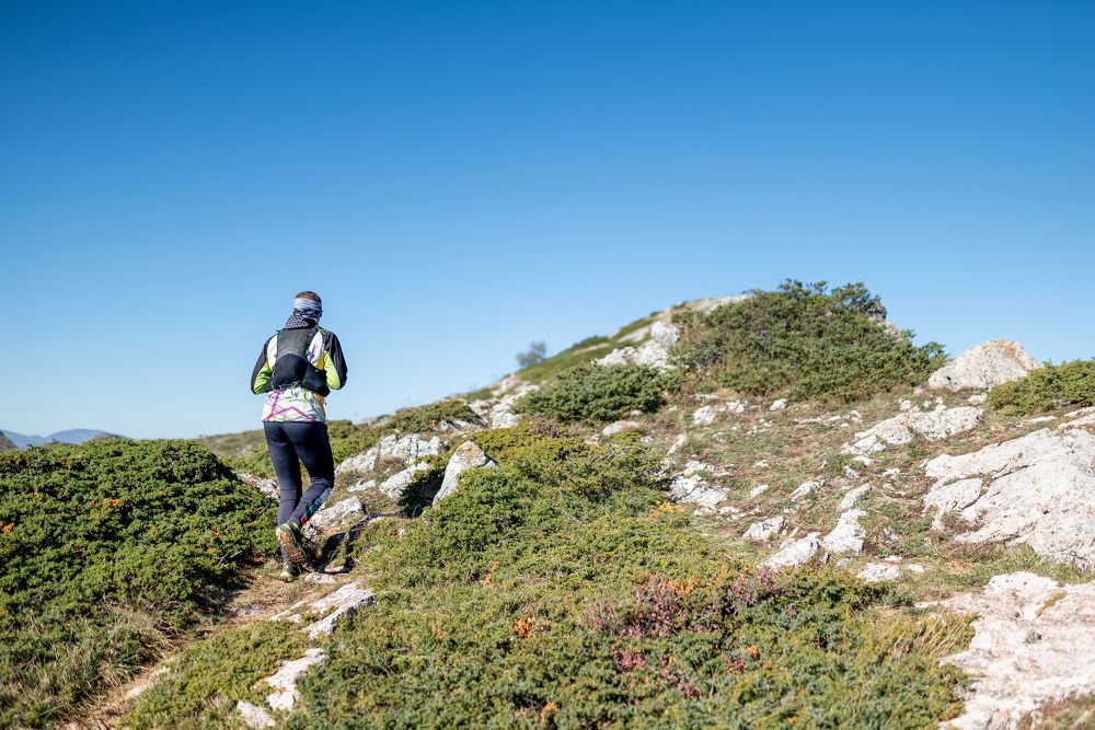 Фотография автора Lyuboslav Bochev