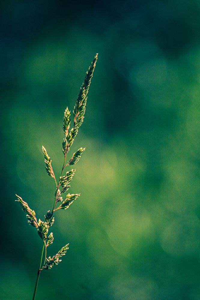 Photograph by Manan Raval