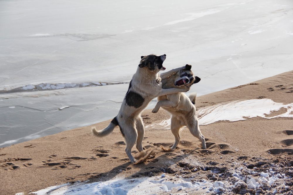 Фотография автора Наталия Мащенко