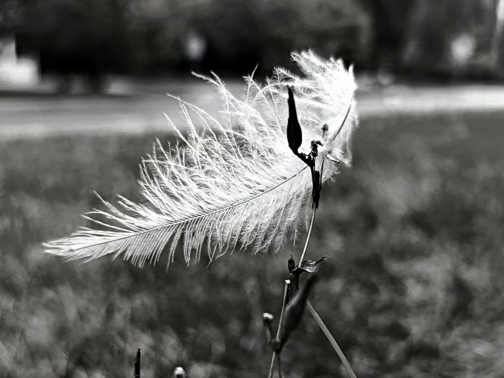 Photograph by Светлана Веселовская