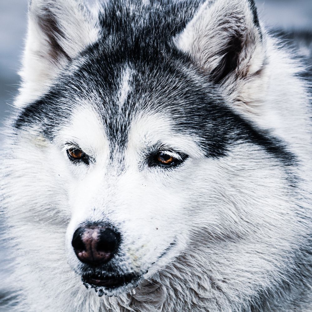 Photograph by Manan Raval