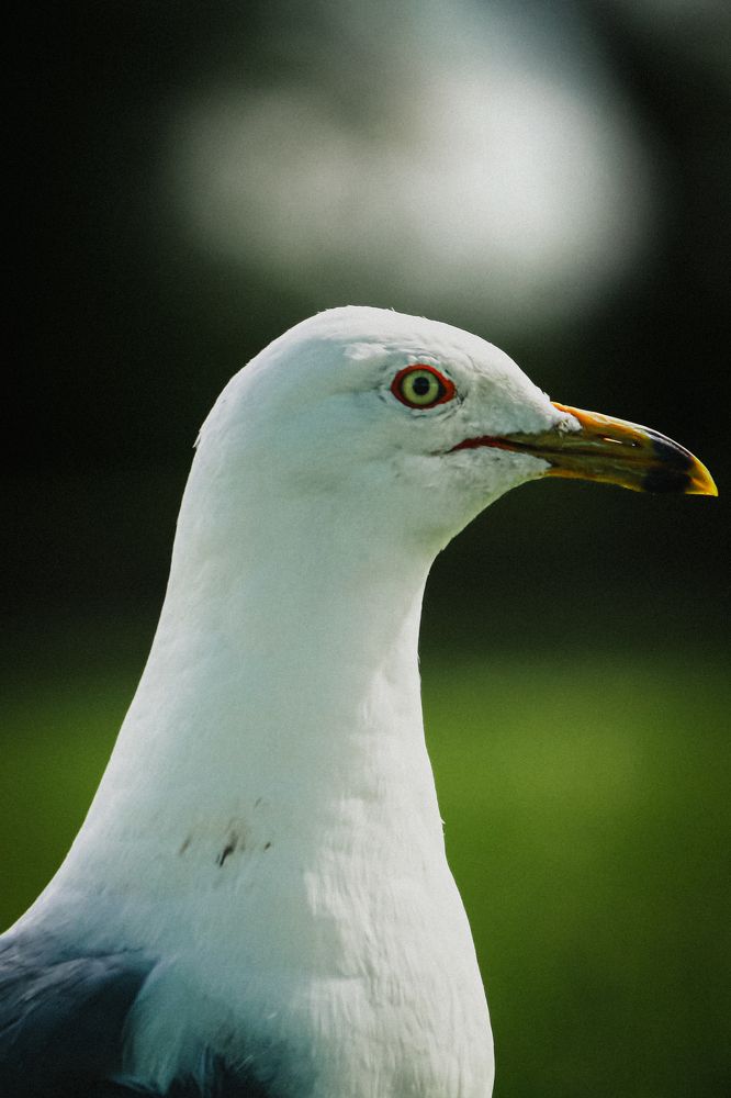 Photograph by Manan Raval