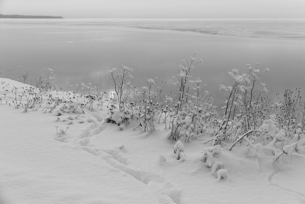 Photograph by Светлана Воробьёва