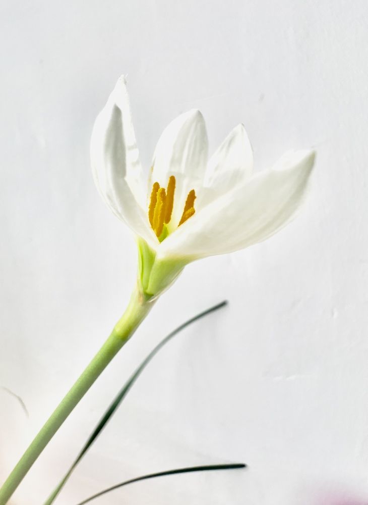 Photograph by Batsaikhan Badamdorj