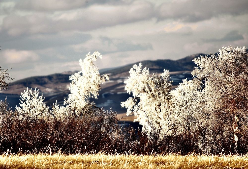 Photograph by Batsaikhan Badamdorj