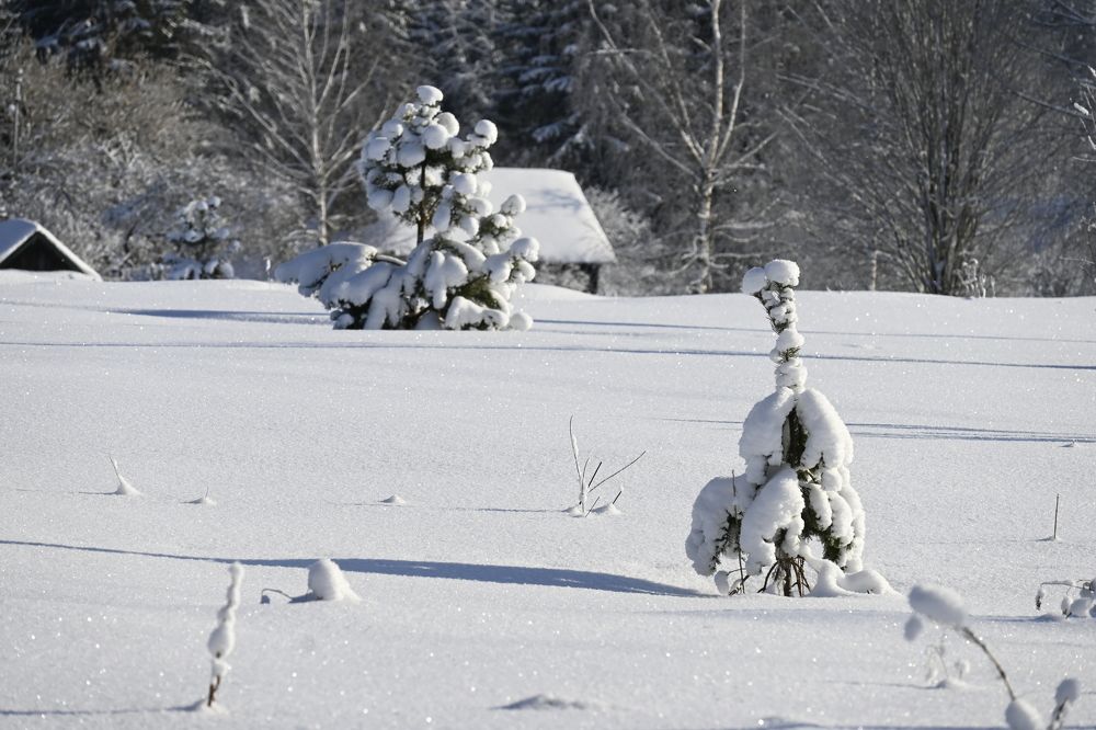 Фотография автора Irina Linina