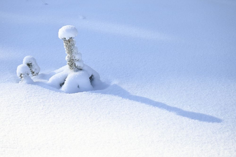 Фотография автора Irina Linina