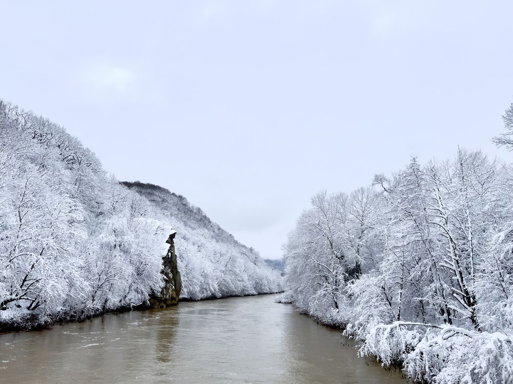 Photograph by Iva Ajva