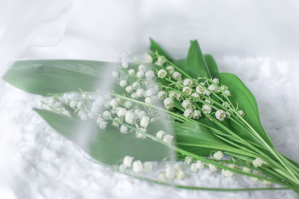 Photograph by Альфия Агзами