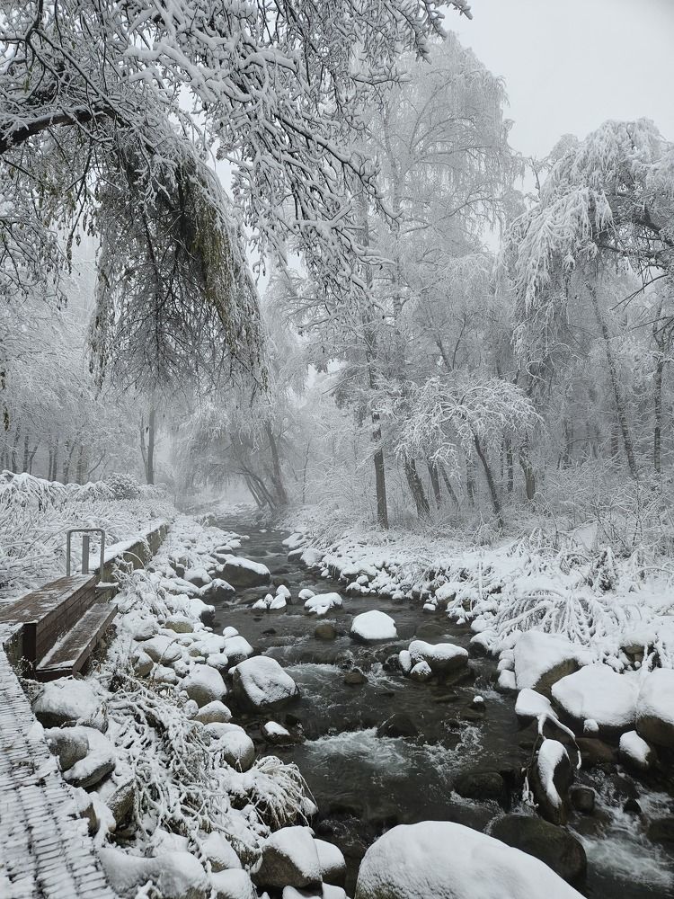 Зимний день в Алматы
