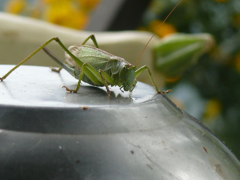 Photograph by Людмила Федорчак