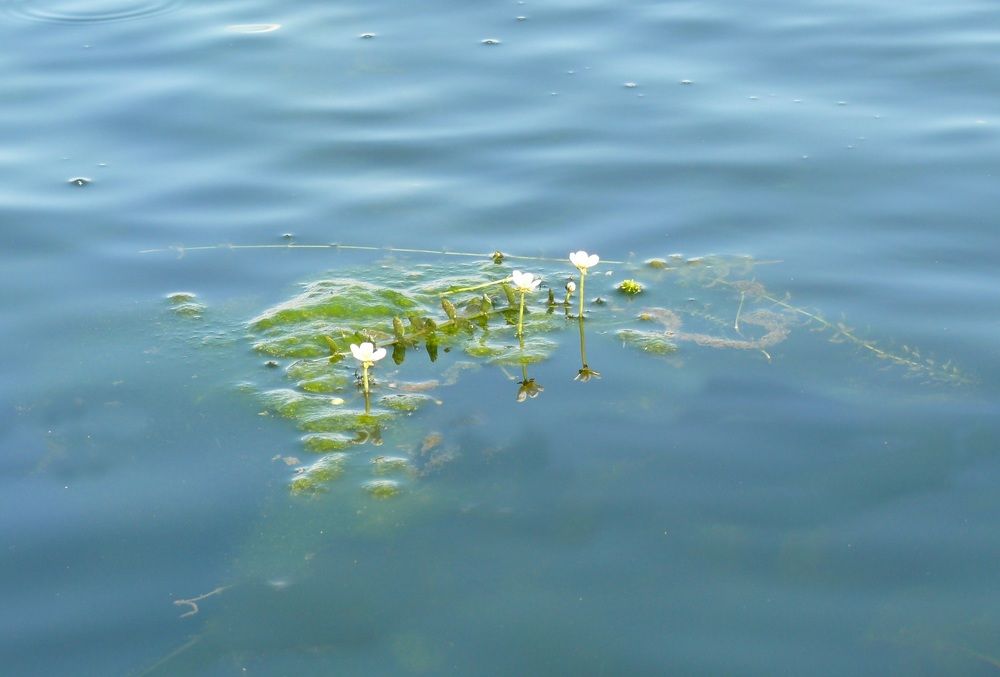 Photograph by Людмила Федорчак