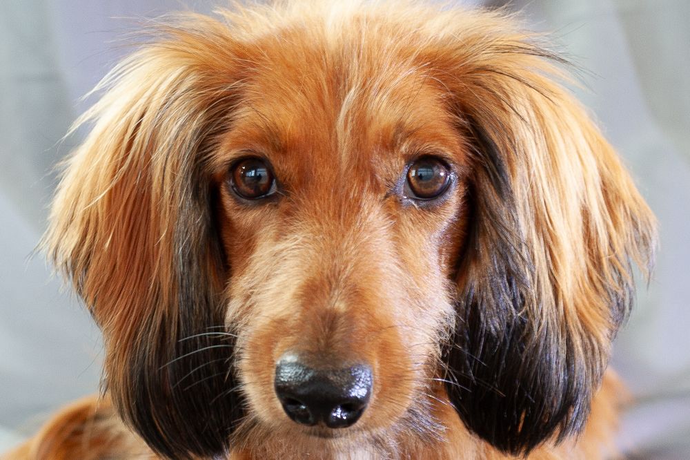 Photograph by Алла Логинова