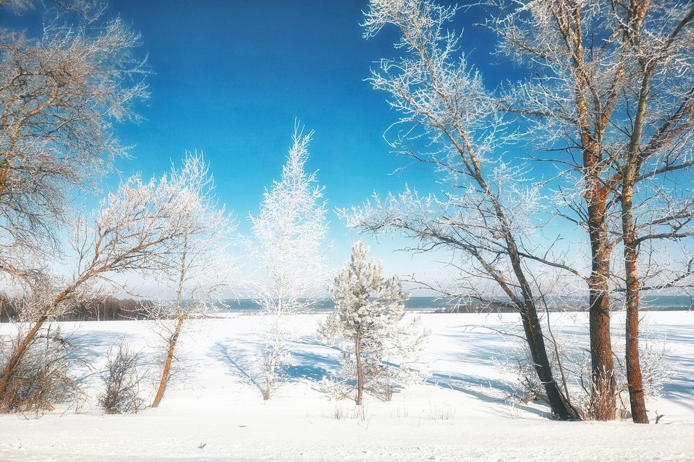 Фотография автора Aleksei Kartashov