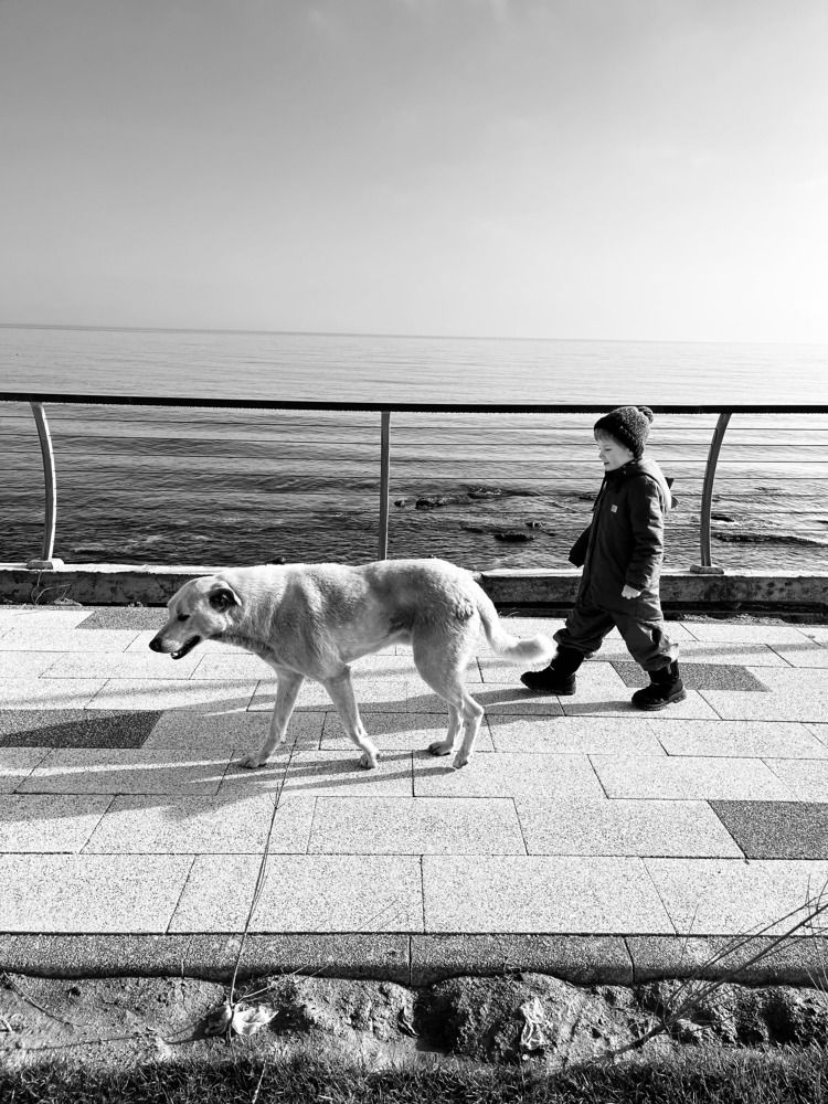 Photograph by Татьяна