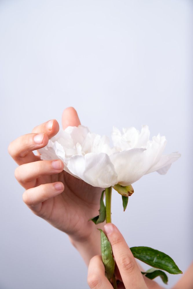 Photograph by Алексей Огненный