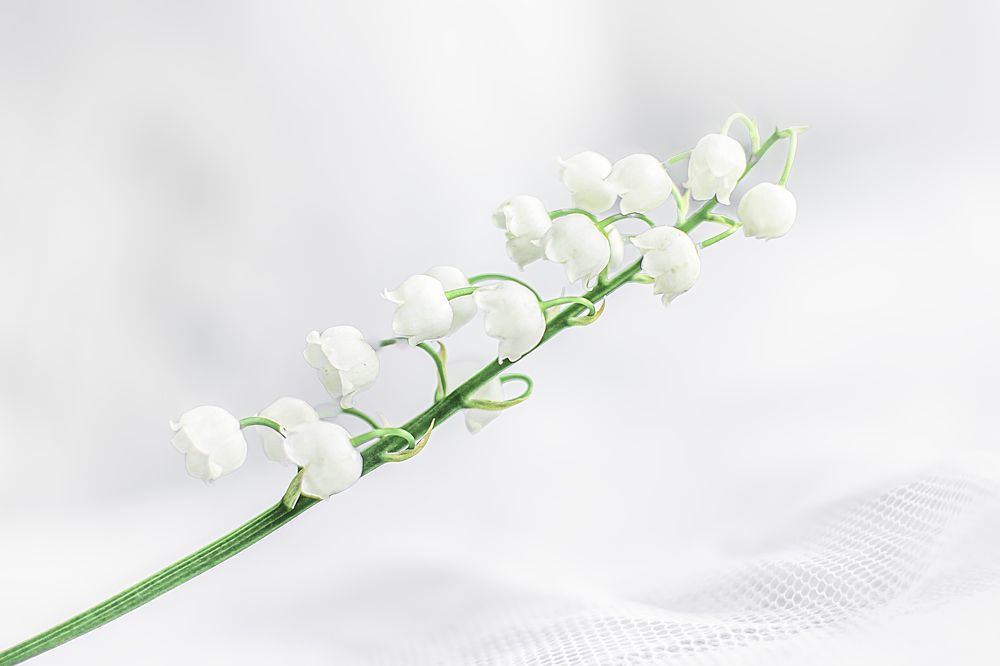 Photograph by Альфия Агзами